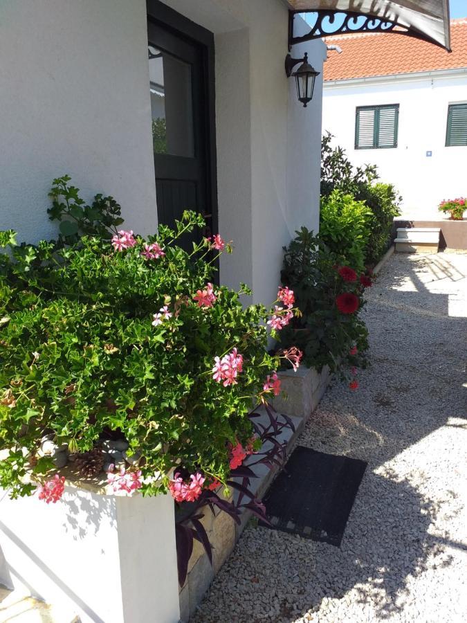 Apartments Jelicic Biograd Na Moru Zewnętrze zdjęcie