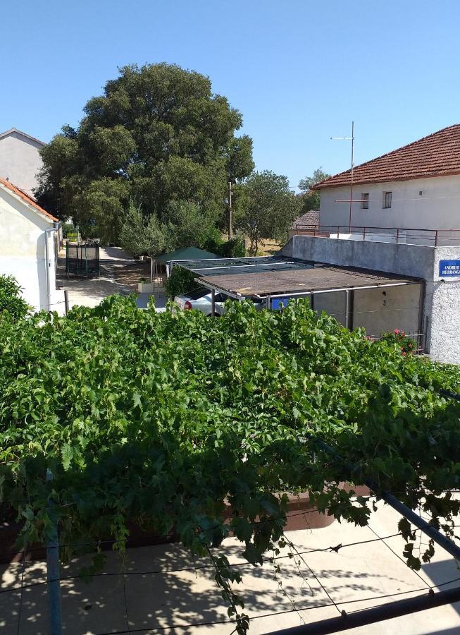 Apartments Jelicic Biograd Na Moru Zewnętrze zdjęcie