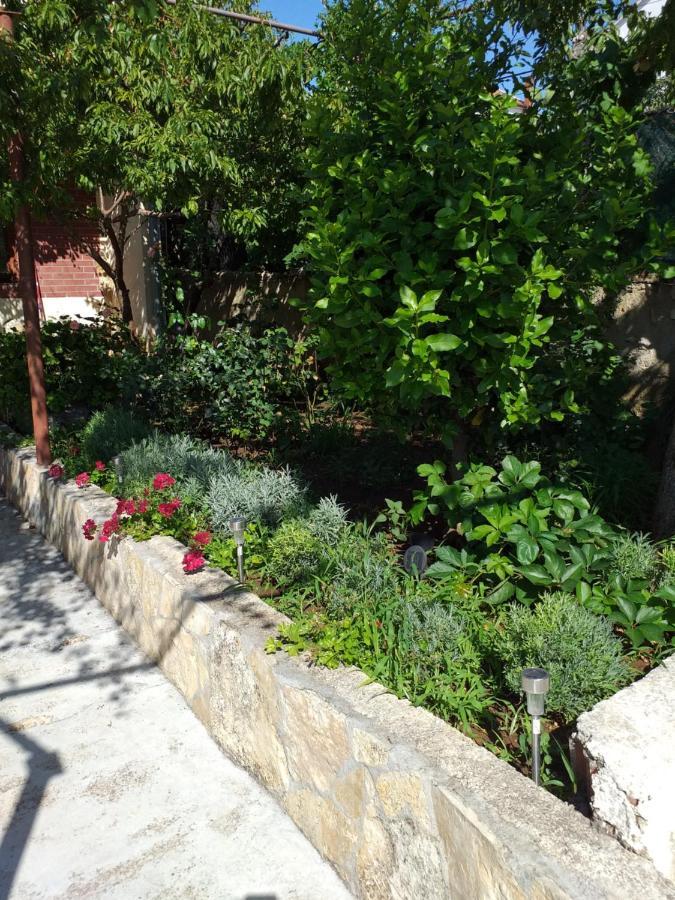 Apartments Jelicic Biograd Na Moru Zewnętrze zdjęcie