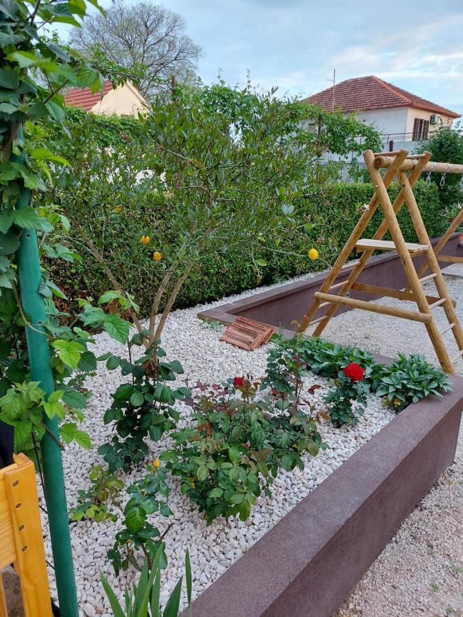 Apartments Jelicic Biograd Na Moru Zewnętrze zdjęcie
