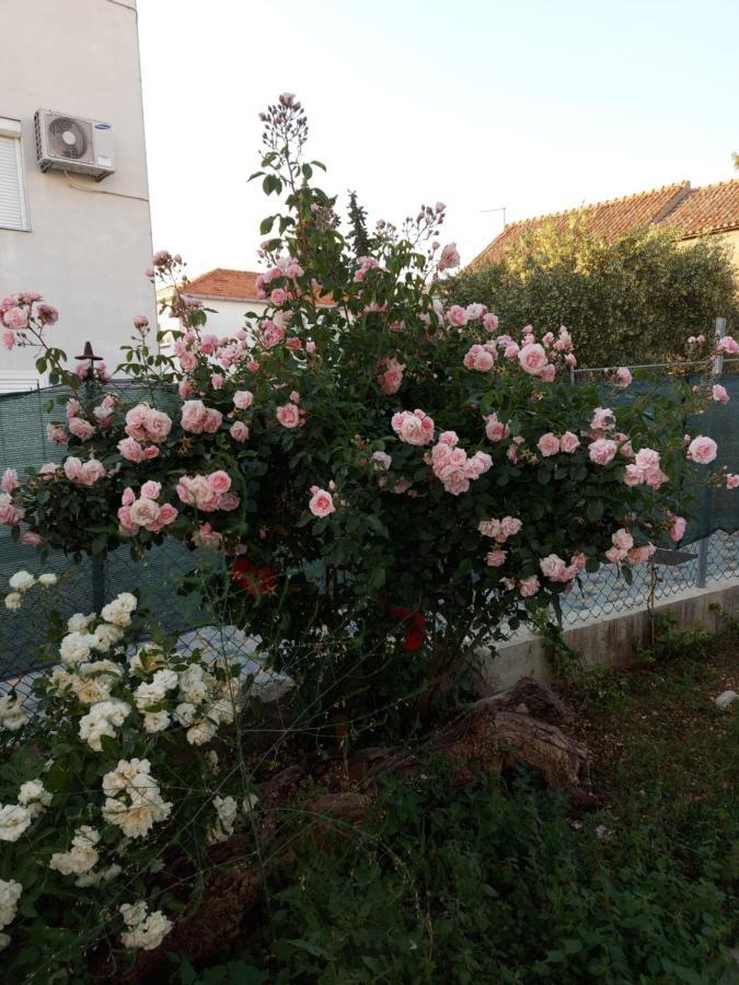 Apartments Jelicic Biograd Na Moru Zewnętrze zdjęcie
